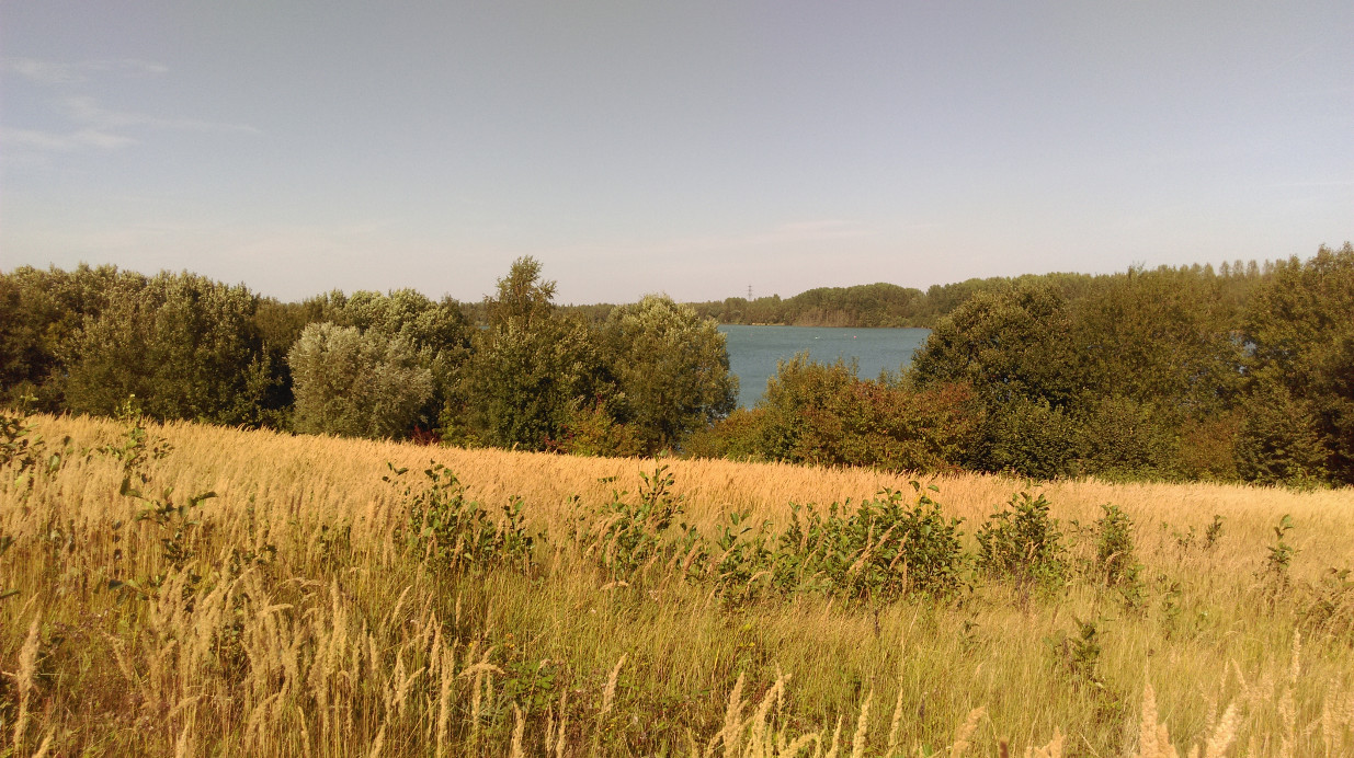 Das Foto zeigt eine Wiese mit See im Hintergrund
