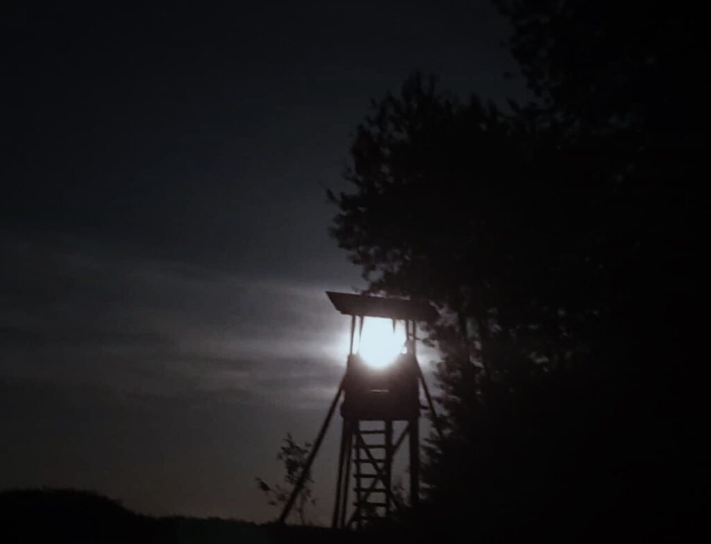 Hochsitz bei Nacht, vom Mond angestrahlt